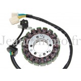 Suzuki 1000 SV de 2003 à...