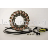 Yamaha 900 Tdm de 2002 à...