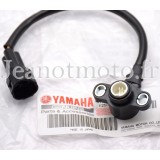 Yamaha 1300 XVZ Royal Star...