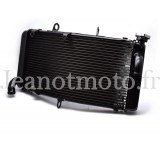 Honda 900 CBR RR Fireblade...