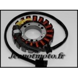 Kawasaki 600 ZX6R de 1995 à...